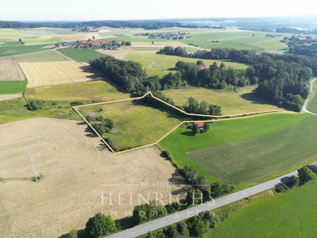 Weideland in Ebersberg mit 14.212 m² Fläche, zwei Weiher, ein Bach - ideal für Pferde und Schafe